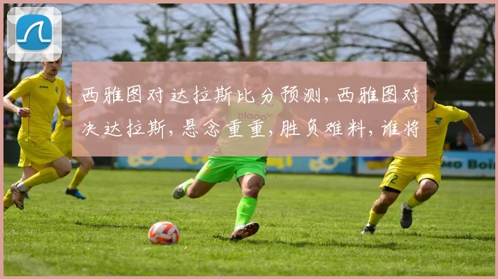 西雅图对达拉斯比分预测,西雅图对决达拉斯,悬念重重,胜负难料,谁将问鼎