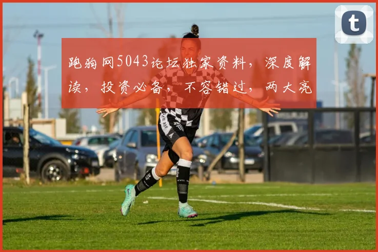 跑狗网5043论坛独家资料，深度解读，投资必备，不容错过，两大亮点大揭秘