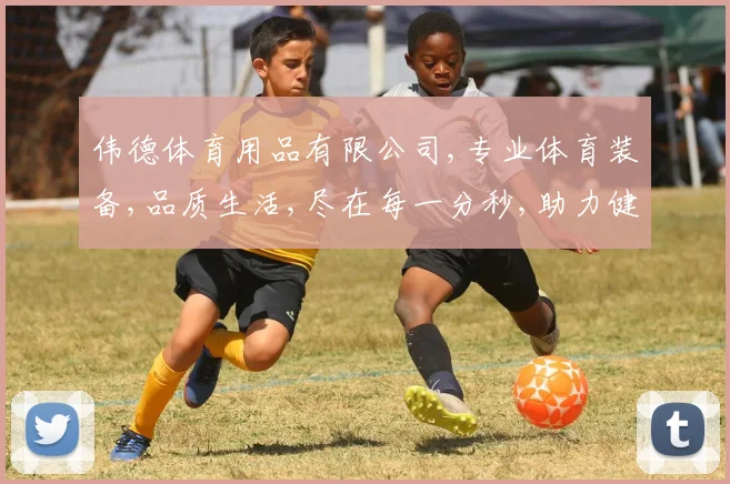 伟德体育用品有限公司,专业体育装备,品质生活,尽在每一分秒,助力健康运动