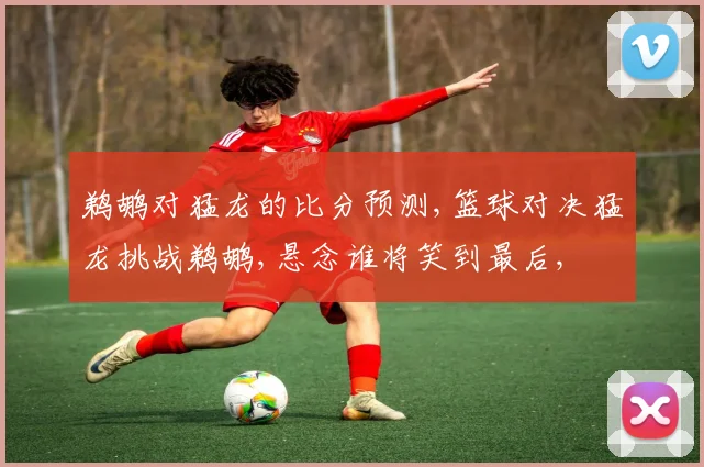 鹈鹕对猛龙的比分预测,篮球对决猛龙挑战鹈鹕,悬念谁将笑到最后,